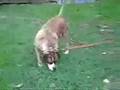 Peggy aus Berga