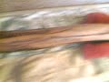 Flautas Mexicanas - Mayan Trumpet Hom Tah Agave Didgeridoo Pre Columbian Instrument