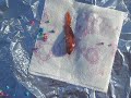 fish funeral burning cremation finding nemo died sad hammonton axe and lighter