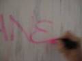 videos de Pink Painter