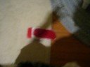 Catch!