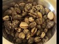 vongole vongole