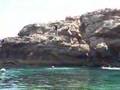 Taking the plunge, Ghar Lapsi, Malta
