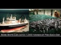 Newfoundland fishery slide show final