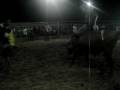 videos de MONTARIA  LUAN-EQUIPE VASCONCELOS