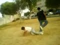 pedigre pedigre