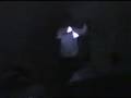 Amon_GSx - 10.23.03 View Video
