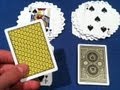 Intuition Card Trick - Performance