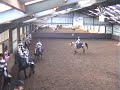 piaffe carrouselteam