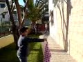 Cani�al forte cabe�ada