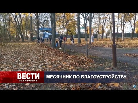 Вести Барановичи 29 октября 2020.