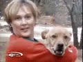 Crazy dog--by crazy I mean amazing