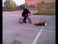 VIDEO FORTISSIMO PRETE CADE