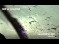 Tornado northeast of Vernon, TX April 17, 2013