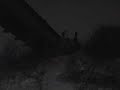 train bridge drop