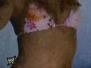 Smackdown Here Comes The Pain Trons #36 Stacy Keibler