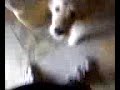 Video from My Phone (0604081626.3g2)