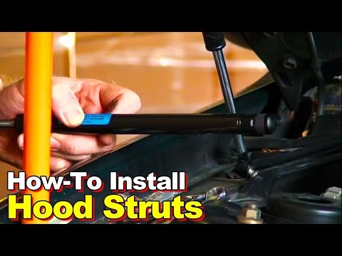 How To Install Hood Struts