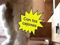 Benji, aprendiendo a cerrar puertas.