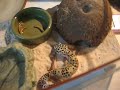She likes to dig.. o.o
