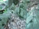 Guardian Of The Earth Clips