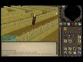 DRAGON IMP CATCHER