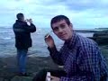 tomo n spaniel ov longford on tour 2008