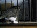 quitation.html