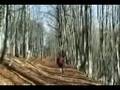 videos de La Foresta della Lama