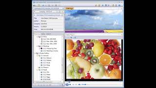 Video review Vole Media CHM - 3.4.30512