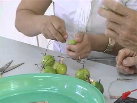 how to generate electricity from lemon