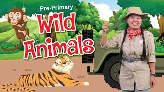 Pre Primary: Wild Animals