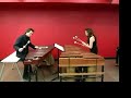 Pius Cheung & Eriko Daimo-Bach/Concerto in d minor
