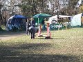 秋が瀬11/23　スーパーミニＡＧ１
