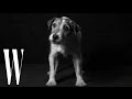 Lynn Hirschberg's Screen Tests: Uggie