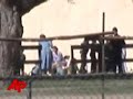 texas child welfare authorities are looking at the possibility that young boys were sexually abused at a polygamist sect's ranch. (april 30)
