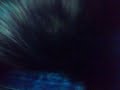 rokko anal schenkt hermes phettberg seine jean
