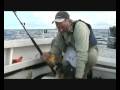 Yellowfin Tuna fishing off Sydney, Australia: June 2008 Yellowfin Tuna fishing off Sydney, Australia: June 2008