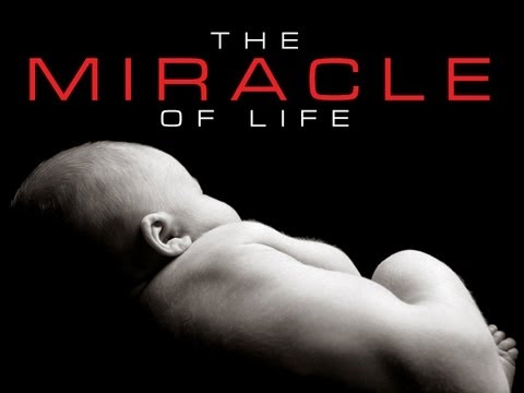 prolife - DOWNLOAD VIDEO HERE: http://www.hyperpixelsmedia.com/sermon-illustration-videos/the-miracle-of-life The Miracle of Life shows us how amazing and wonderful th...