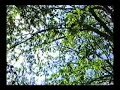 we (me:dino felipe,vanessa payes,and tony emmons) made this video in 1999
this track never got released.