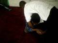 sudanese wrestling