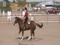 Breanne Riding for NMSU vs USC  Reining