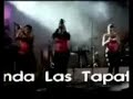 banda las tapatias sal y limon