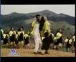 Indian-disco-Not-for