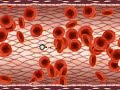 NanoDoctor - early prototype