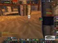 videos de Hunter/Druid 2v2