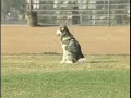 See video