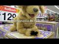 GraduatePuppy.mov