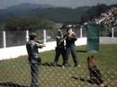 Cão de Polícia parte II Cão de Polícia parte II