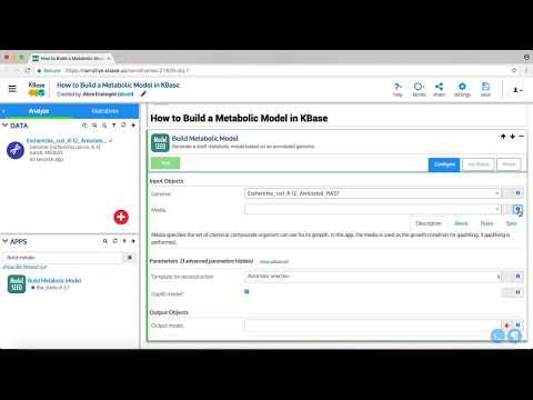 KBase modeling